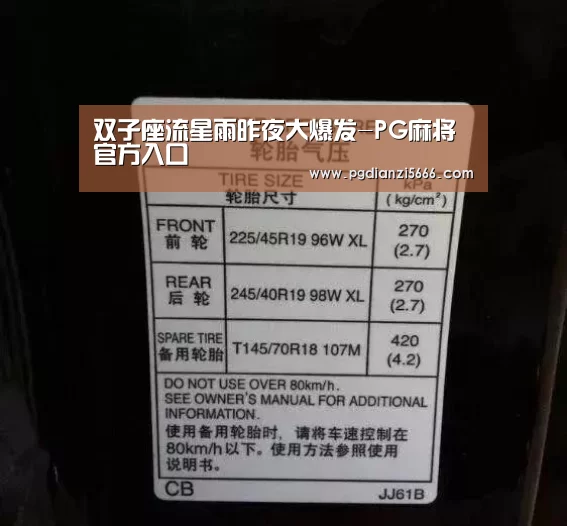 双子座流星雨昨夜大爆发-PG麻将官方入口(图1) PG麻将官方入口